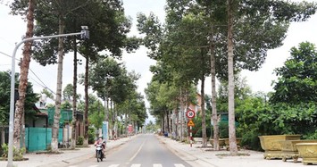 BQL dự án huyện Tân Phú lựa chọn nhà thầu xây dựng đường Nguyễn Chí Thanh 