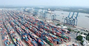 Tân Cảng Sài Gòn cam kết phối hợp điều tra vụ việc nghi 'rút ruột' hàng xuất khẩu