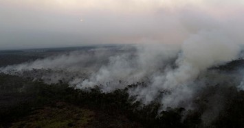 Hơn 10.000 vụ, cháy rừng Amazon sẽ tồi tệ hơn thảm họa năm ngoái?