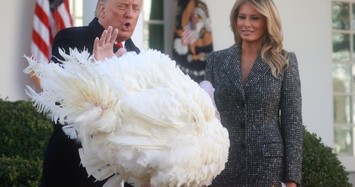 Tổng thống Trump xá tội cho gà tây tại Nhà Trắng