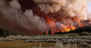 Cảnh cháy rừng dữ dội ở California lúc nắng nóng lịch sử
