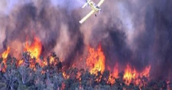 Nhìn lại 5 vụ cháy rừng kinh hoàng nhất lịch sử thế giới