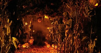 Những sự thật ngỡ ngàng về lễ hội Halloween 
