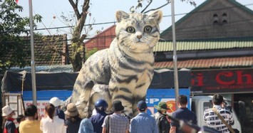 Tạo hình độc lạ linh vật mèo Tết 2023 khiến nhiều người thích thú