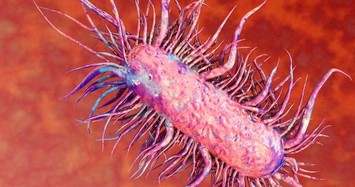 Vi khuẩn 'ăn thịt người' nguy hiểm hơn với người mắc bệnh mãn tính