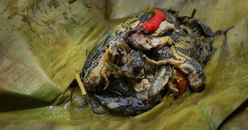 Khóc thét với đặc sản nòng nọc ếch kinh dị của Thái Lan