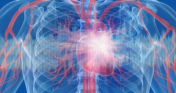 Ngoài phổi, tim cũng có thể bị tổn thương nghiêm trọng khi nhiễm COVID-19?