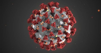 Nhật Bản cô lập thành công virus corona mới