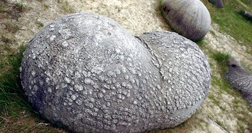 Độc lạ những tảng đá có khả năng lớn dần và tự dịch chuyển