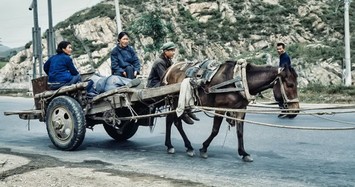 Cuộc sống giản dị ở Trung Quốc những năm 1970