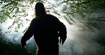 Vì sao khó bắt được quái vật bí ẩn nhất thế giới Bigfoot?