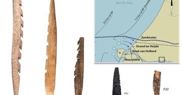 Bất ngờ những vũ khí làm từ xương người 11.000 năm trước