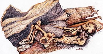 Nguồn gốc xác ướp tự nhiên tìm thấy ở Mỹ