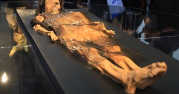 Tò mò xác ướp phụ nữ 1.600 tuổi có nhiều hình xăm