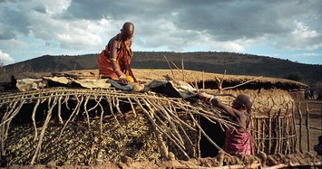 Vì sao bộ tộc người Maasai lấy phân trâu bò để xây nhà?
