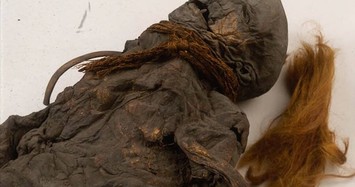 Bí mật ớn lạnh từ xác ướp 2.000 tuổi 
