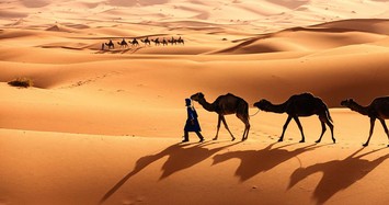 Nếu phủ pin mặt trời kín sa mạc Sahara sẽ tạo ra lượng điện khổng lồ?