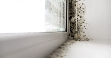 Cách xử lý nấm mốc khắp nhà để không hít phải độc