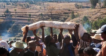 Ám ảnh lễ đào mộ, nhảy múa cùng xương người chết ở Madagascar
