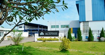Agifish lại bị hối thúc nộp Báo cáo tài chính kiểm toán