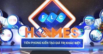 FLCHomes thoát lỗ quý 4/2019 nhờ doanh thu tài chính