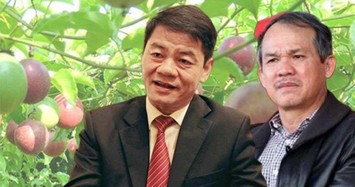 Thaco muốn gom thêm 26 triệu cổ phiếu công ty nông nghiệp của Bầu Đức