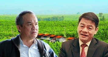 Ông Trần Bá Dương và công ty riêng mua hơn 4 triệu cổ phiếu HAGL Agrico
