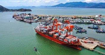 Cảng Quy Nhơn bị phạt 100 triệu đồng do lỗi công bố thông tin