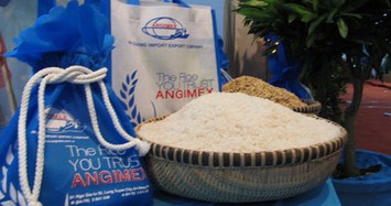 Doanh nghiệp bán gạo tại An Giang sắp chi 260 tỷ đồng thành lập công ty con