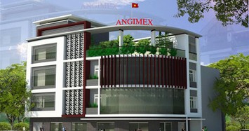 Nguyễn Kim sắp thoái 51% vốn Angimex tại mức giá đỉnh 