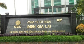 Điện Gia Lai sắp làm dự án điện gió tại Tiền Giang
