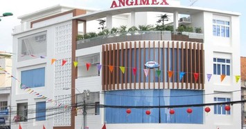 Angimex dự huy động tối đa 300 tỷ đồng trái phiếu, cổ phiếu tăng 63% sau 11 phiên