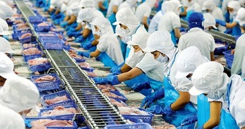 Vĩnh Hoàn góp thêm 50 tỷ đồng vào doanh nghiệp sản xuất giống cá tra