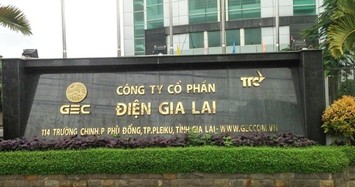 Điện Gia Lai dự kiến chào bán 64 triệu cổ phiếu với giá chiết khấu 46%