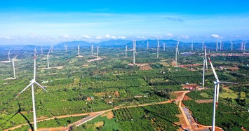 Điện gió Trung Nam Đắk Lắk 1 chậm trả lãi 3 lô trái phiếu hơn 2.500 tỷ 