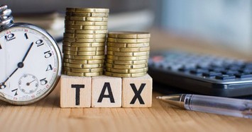 Constrexim Số 8 (CX8) bị phạt hành chính về thuế