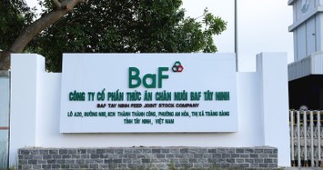 BaF Việt Nam thâu tóm một doanh nghiệp chăn nuôi ở Gia Lai