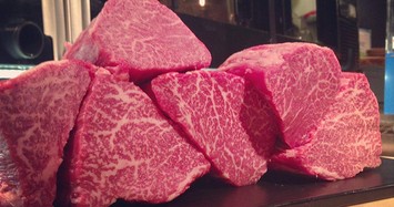 Thịt bò Kobe giá 'cắt cổ' tới 18 triệu đồng/kg vẫn đắt khách vì sao?