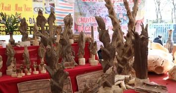 Chi tiết các khối trầm hương tiền tỷ của đại gia Việt