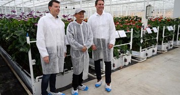 Tỷ phú Jack Ma sống ẩn dật khác hoàn toàn trước đây 