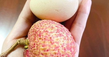 Những quả vải trứng siêu to khổng lồ giá hơn 200.000 đồng mỗi kg 