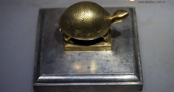 Sự thật cực bất ngờ về con rùa trong văn hóa tâm linh Việt