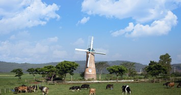 Phát triển nông nghiệp bền vững: Nhìn từ hệ thống trang trại bò sữa Vinamilk