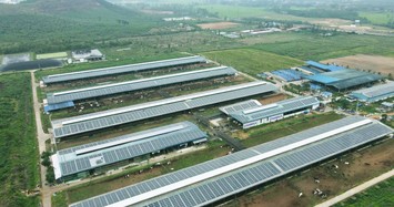 VINAMILK đầu tư hệ thống năng lượng mặt trời tại 12 trang trại bò sữa