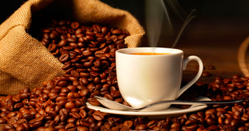 Một doanh nghiệp cà phê báo lợi nhuận 6 tháng vỏn vẹn hơn 200 ngàn đồng