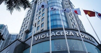 Gelex chào mua công khai 95 triệu cổ phiếu Viglacera giá thấp hơn 20% thị giá