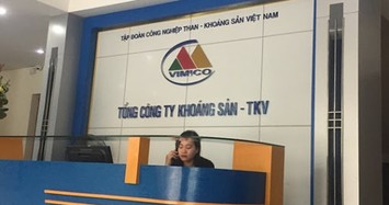 Sáp nhập Đá quý Việt Nhật, TKV lên kế hoạch lợi nhuận đi lùi năm 2021