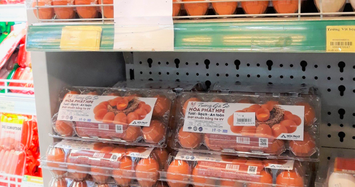 Trứng gà Hòa Phát đã vào hàng loạt siêu thị, sắp nhập 7.500 gà giống từ Úc