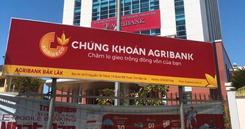 Bán khoản đầu tư vào HNG, Chứng khoán Agribank tăng lãi thêm 136 tỷ sau soát xét