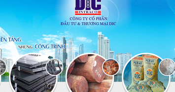 Làm ăn thua lỗ, DIC bị BIDV phát mại tài sản ở Bình Phước